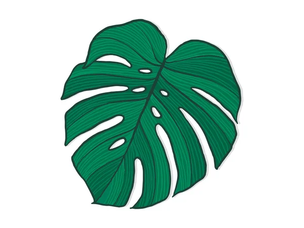 Monstera Disegnata Mano Pianta Interno Illustrazione Stile Scandinavo Con Monstera — Vettoriale Stock