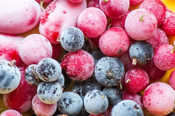 Frozen berry — Stock Photo, Image