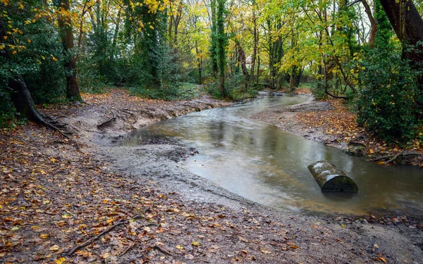 켄트주 파크의 벡이라고 불리는 개울이었습니다 가을에 낙엽과 지대를 흐른다 움직임 — 스톡 사진
