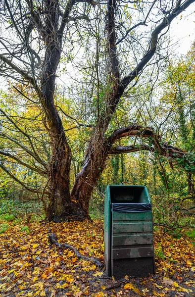 A green rubbish bin (trash can) with tree in Harvington Park, Beckenham, Kent, UK. The tree is bare and the golden leaves are on the ground. Image of England in the fall.