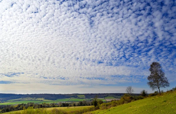 Kent, İngiltere 'de Otford yakınlarında North Downs. Mavi gökyüzü ve beyaz bulutlarla İngiliz kırsalının manzarası. Otford, Kuzey Downs Yolu 'nda yer almaktadır ve kırsal bölgeleri keşfetmek için iyi bir merkezdir..