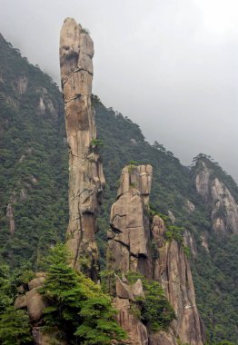Sanqingshan Dağı, Jiangxi Eyaleti, Çin. Yılan Kayası ya da Python Kayası manzarası, Sanqing Dağı 'nda kayalık bir zirve. Sanqingshan, sisli tepeleri ve ormanlarıyla ünlü kutsal bir Taoist dağıdır..