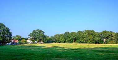 Hayes Bulvarı 'na bak, Kent. Öğleden sonra çimlerin üzerinde ağaçlar ve açık mavi gökyüzü olan güneş ışığı ve gölgeler. Hayes Common, İngiltere 'nin başkenti Kent' te yer alan bir şehirdir..