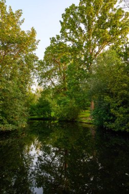 The Knoll, Hayes, Kent, İngiltere 'de küçük bir park. Küçük bir gölün suyundaki yansımalar ya da Knoll parkındaki ağaçlı gölet. Hayes, Londra 'nın Bromley ilçesinde..