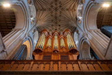 Norwich, Norfolk, İngiltere: Nave 'den görüldüğü üzere Norwich Katedrali' ndeki kürsünün üstündeki org boruları.