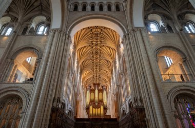 Norwich, Norfolk, UK: Organ borularıyla Norwich Katedrali ve merkez kulesinin altından görülen koronun üstünde kuleye tırmanmış tavan.