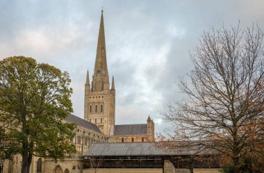 Norwich, Norfolk, İngiltere: The Close 'dan katedralin batı tarafına kadar görünen kulesiyle Norwich Katedrali.