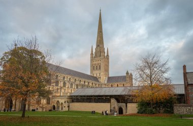 Norwich, Norfolk, İngiltere: The Close 'dan katedralin batı tarafına kadar görünen kulesiyle Norwich Katedrali.