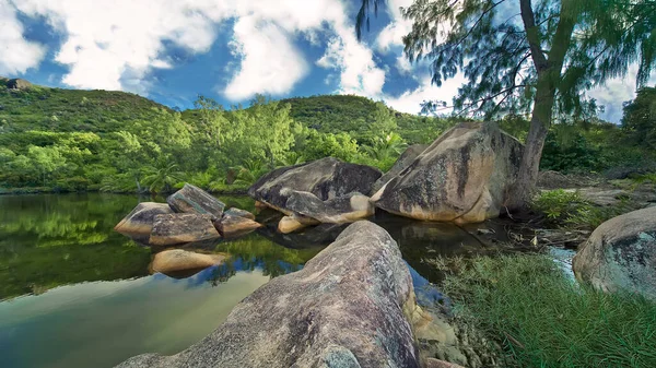 La Digue adasında yeşil su ve büyük kayalarla dolu bir gölet. Tropik bitkiler ve palmiye ağaçları uzak kayalık kıyılarda yetişir..
