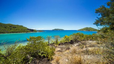 Güzel bir göl, sıradışı bir kaya şeklindeki tropikal bitkilerin kıyısında. Turkuaz su ve açık mavi gökyüzü.