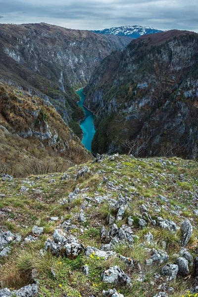 View Tara River Its Amazing Turquoise Water Gorge Balkan Mountains — ストック写真