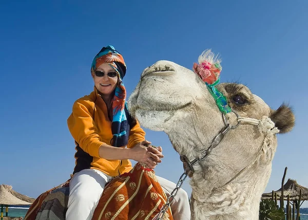 Two smiles. On a white camel sits a smiling woman in a yellow jacket and a bright turban. The camel turned its head in the direction of the rider and also smiles.