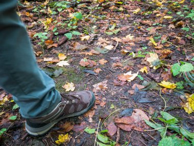 Sarı ve renkli yapraklarla kaplı bir adamın bacağı yerde yürüyor..