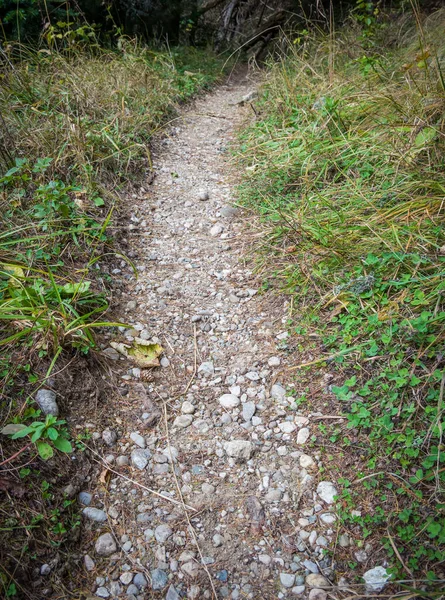 Close up with a stone or gravel footpath or a pathway through grass in nature