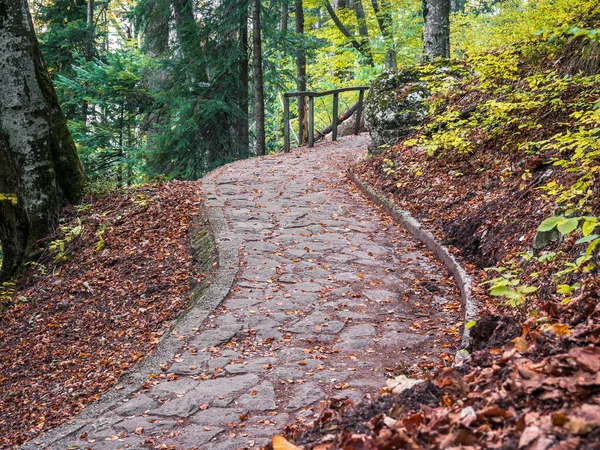 Cobblestone Turistaút Poteca Regala Sinaia Románia — Stock Fotó