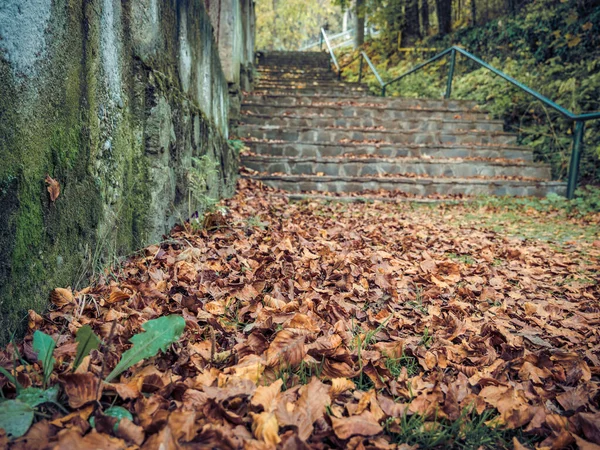 ルーマニアのシナイ町にある古い中世の石畳の石畳の階段 秋の風景 — ストック写真