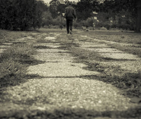 Vista Trasera Hombre Caminando Por Callejón Parque — Foto de Stock