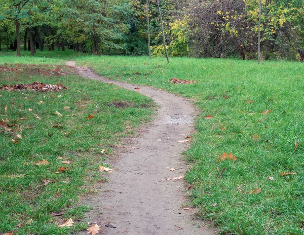 Fußweg Oder Pfad Jugendpark Bukarest Lehrpfad Wald — Stockfoto