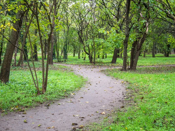 Sentiero Sentiero Nel Parco Della Gioventù Bucarest Sentiero Naturalistico Nel — Foto Stock