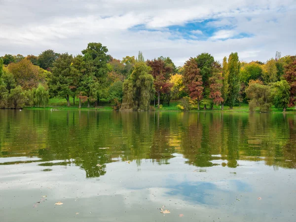 Paisagem Natural Com Árvores Coloridas Céu Refletindo Água Lago Paisagem — Fotografia de Stock