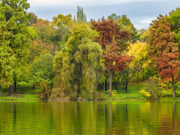 Paisagem Natural Com Árvores Coloridas Céu Refletindo Água Lago Paisagem — Fotografia de Stock