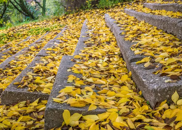 Parlak Sarı Yapraklarla Kaplı Taş Basamaklar Merdivenler Parktaki Güzel Sonbahar — Stok fotoğraf