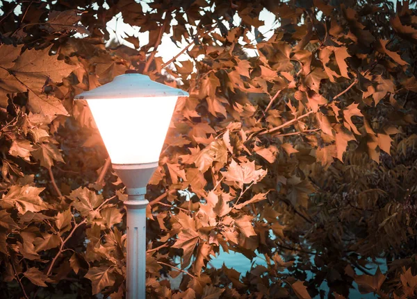 Sokak lambası ya da lamba direğiyle kapat