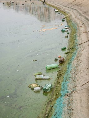 Romanya 'nın Bükreş kentinde Dambovita Gölü' nün (Lacul Morii) sularında yüzen PET plastik şişeleri ve çöpler