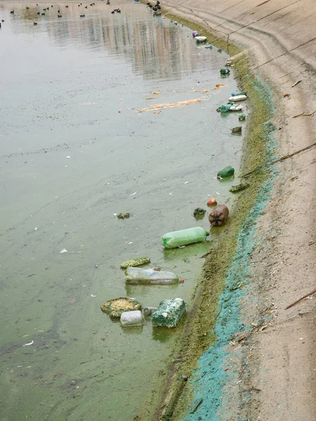 Botellas Plástico Pet Basura Flotando Agua Del Lago Dambovita Lacul — Foto de Stock