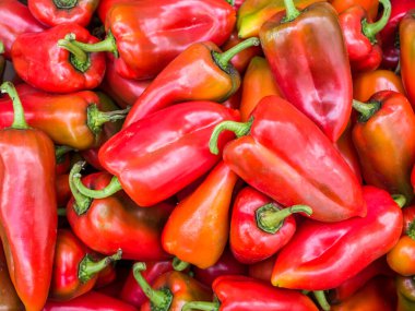 Markette taze organik kırmızı biber sergileniyor. Taze toplanmış sebzeler.