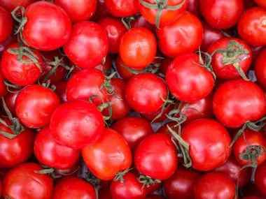 Pazarda taze organik domatesler sergileniyor. Taze toplanmış sebzeler.