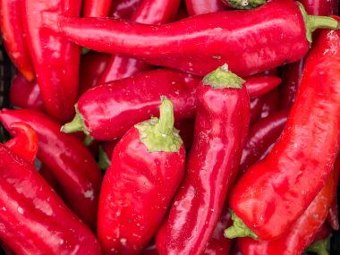 Markette taze organik kırmızı biber sergileniyor. Taze toplanmış sebzeler.