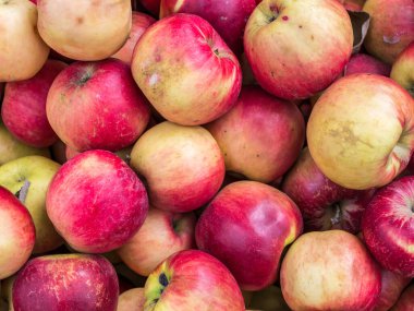 Markette sergilenen taze organik kırmızı elmalar. Taze toplanmış meyveler.