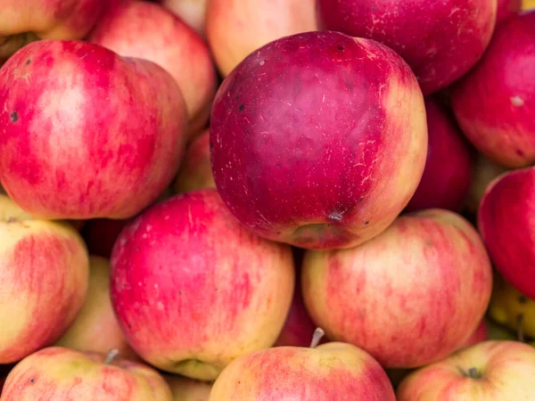 Frische Rote Bio Äpfel Werden Auf Dem Markt Angeboten Frisch — Stockfoto
