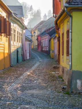 Romanya 'da kaldırım taşı sokakları ve Sighisoara Ortaçağ Kalesi' nin eski binalarıyla renkli bir manzara.