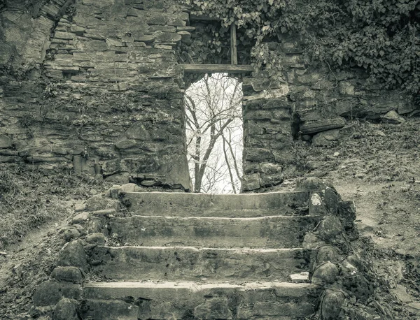 Treppe Einer Tür Der Steinmauer Einer Mittelalterlichen Festung Sighisoara Rumänien — Stockfoto