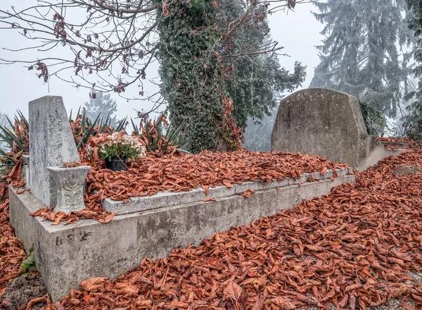 Gräv Kyrkogård Täckt Med Röda Apelsinblad Dimmig Morgon — Stockfoto