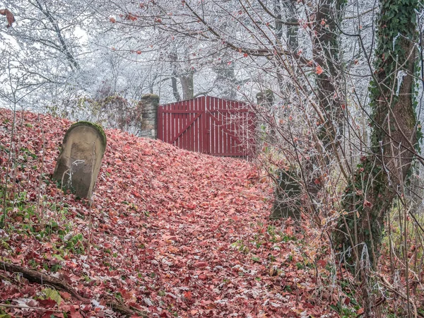 Einsamer Grabstein Den Friedhofstoren Herbstliche Landschaft Mit Rotem Laubteppich Und — Stockfoto