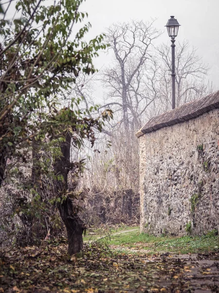 Alte Weinlandschaft Der Mittelalterlichen Zitadelle Von Sighisoara — Stockfoto