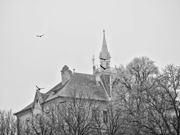 Sighisoara Roemenië 2020 Joseph Haltrich Middelbare School Gebouw Gelegen Nabij — Stockfoto