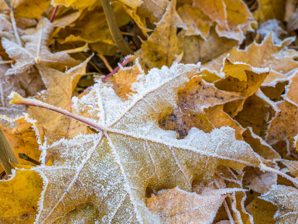 Old vintage lamp post or street lamp with a light bulb in Sighisoara citadel