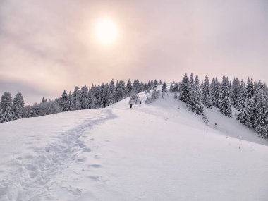 Taze beyaz kar ve güneş ışığı altında patika ya da yaya yolu olan kış manzarası. Romanya 'daki Karpat Dağları