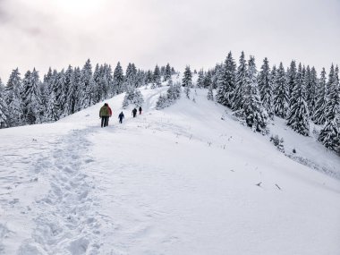 Karda yürüyen yürüyüşçüler. Romanya 'nın Carapathian Dağları' ndaki kış manzarası.