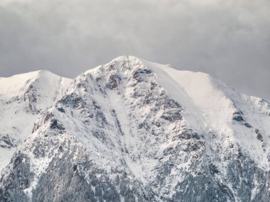 Karla kaplı dağ zirveleri olan kış manzarası. Romanya 'daki Karpatlar' ın bir parçası olan Bucegi Dağları 'nın manzarası çok güzel..