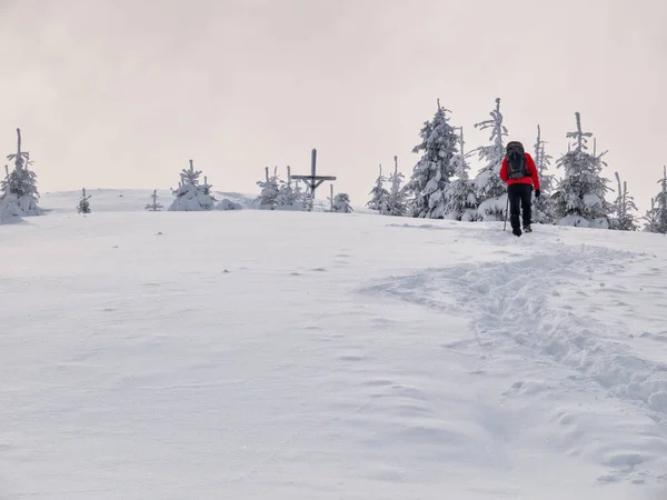 Karda Yürüyen Bir Yürüyüşçü Romanya Nın Carapathian Dağları Ndaki Kış — Stok fotoğraf