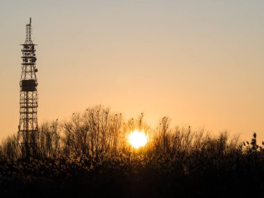 Gün batımında telekomünikasyon kulesiyle manzara. Romanya 'nın Bükreş kentindeki Vacaresti Doğal Parkı.
