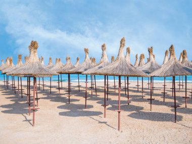Summer landscape with straw umbrellas on the beach in Mangalia or Mamaia. Beach at the Black Sea in Romania.