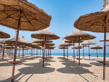 Summer landscape with straw umbrellas on the beach in Mangalia or Mamaia. Beach at the Black Sea in Romania.