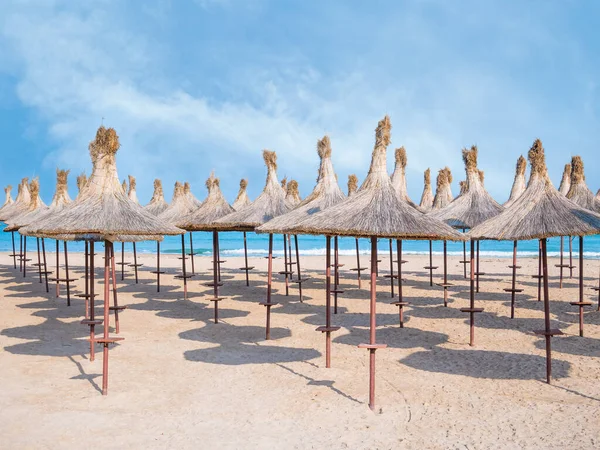 Summer landscape with straw umbrellas on the beach in Mangalia or Mamaia. Beach at the Black Sea in Romania.