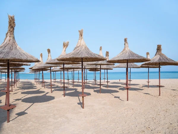 Summer landscape with straw umbrellas on the beach in Mangalia or Mamaia. Beach at the Black Sea in Romania.